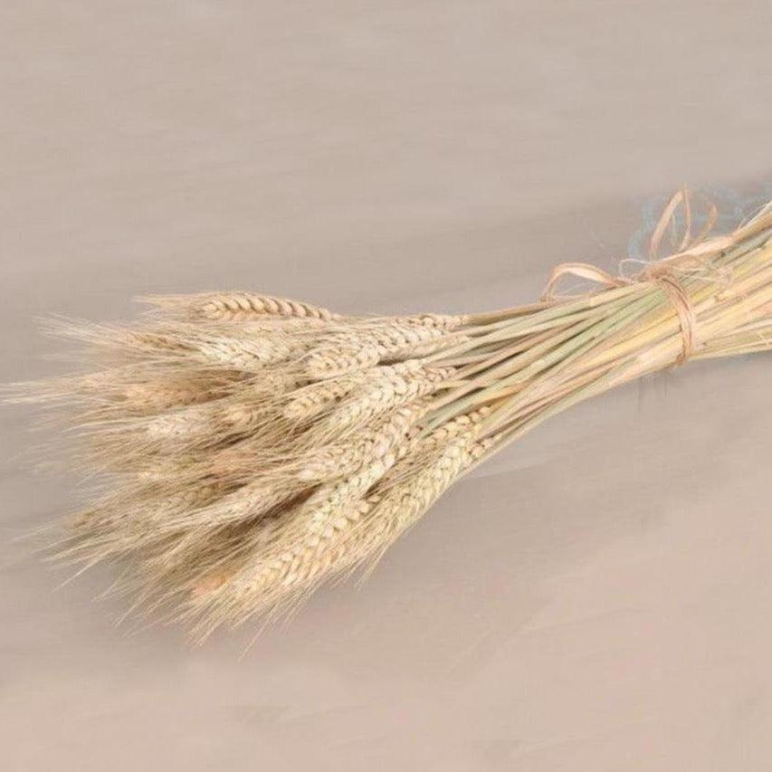 Natural Dried Flowers